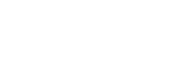 lsi